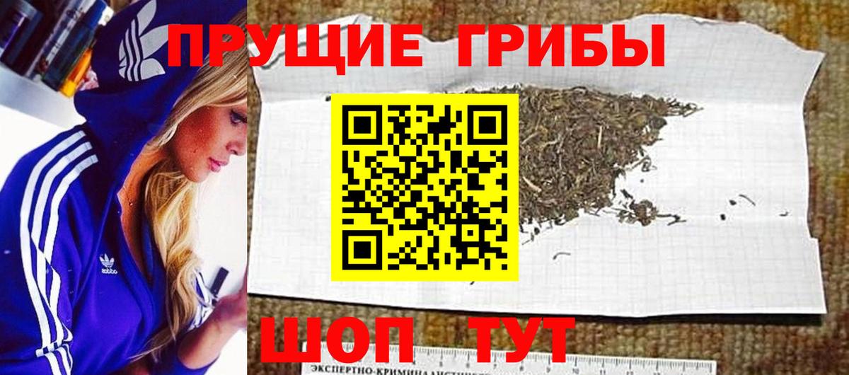 Галлюциногенные грибы прущие грибы Пушкино